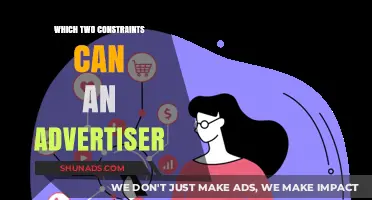 Two Key Constraints Advertisers Face in Campaign Optimization Strategies