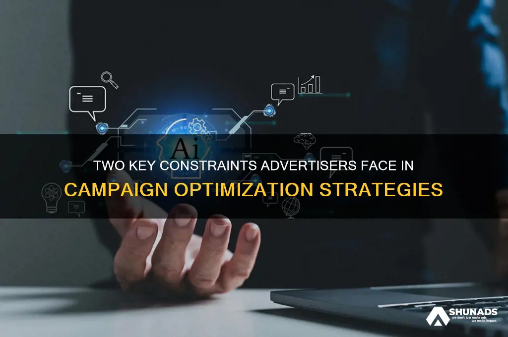 which two constraints can an advertiser