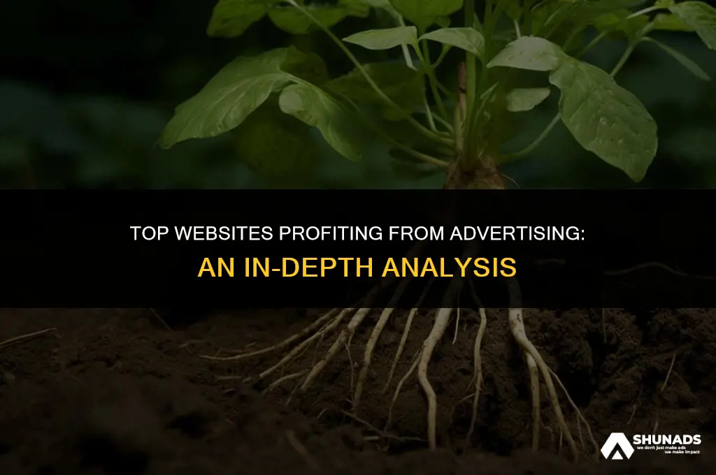 which websites make the most money off advertising