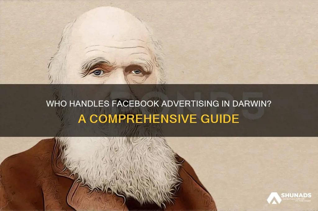 who does facebook advertising in darwin