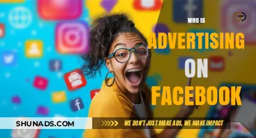 Who's Behind the Ads? Unveiling Facebook's Top Advertisers