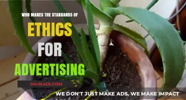 Ethical Advertising Standards: Who Sets the Bar?