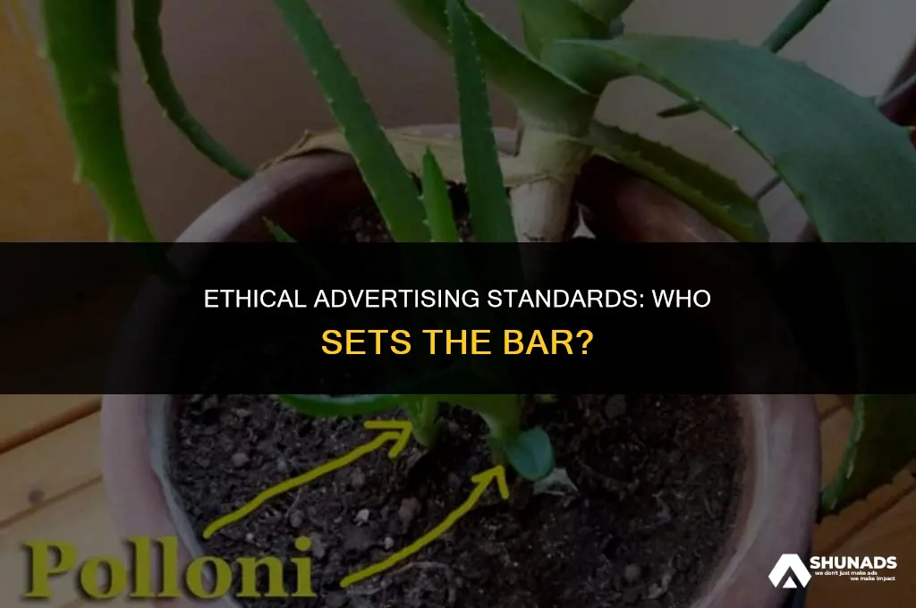 who makes the standards of ethics for advertising