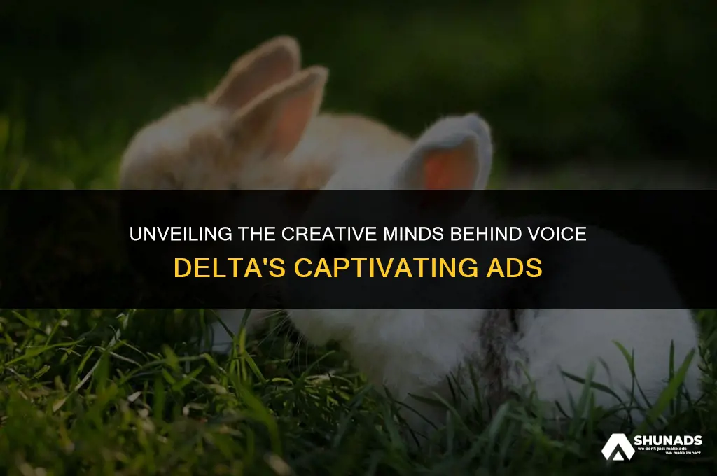 who makes the vooce delta advertising