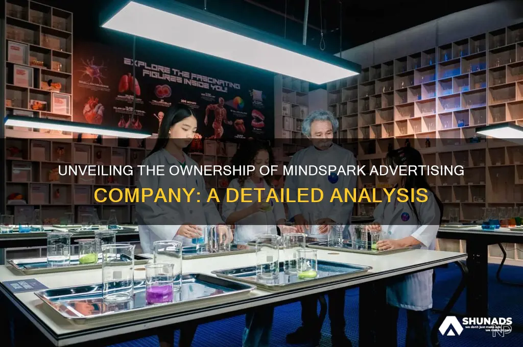 who owns mindspark advertising company