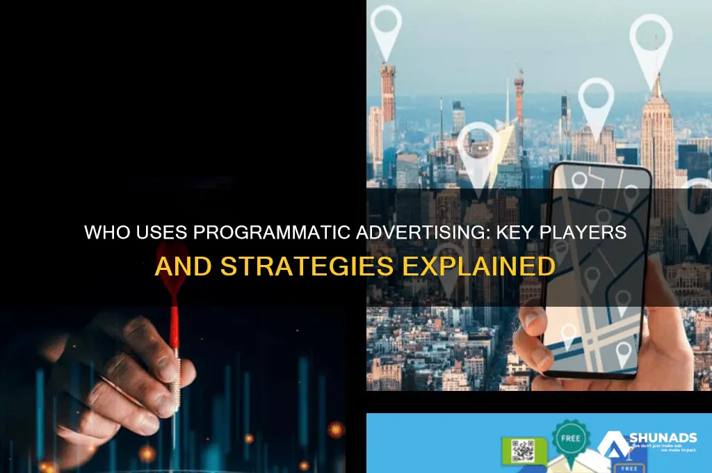 who uses programmatic advertising