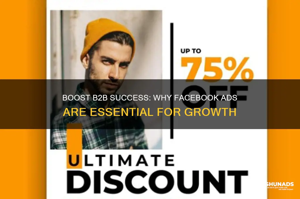 why advertise on facebook b2b