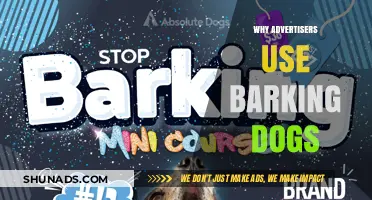 Barking Dogs in Ads: Unlocking Attention and Emotional Engagement Strategies