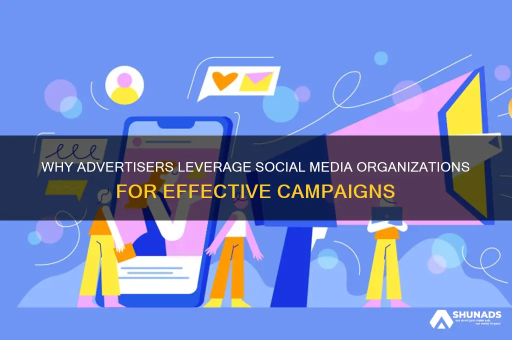 why advertisers use social media org