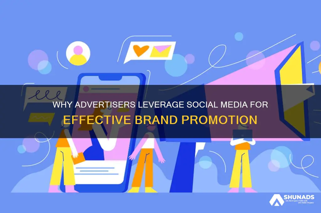 why advertisers use social media