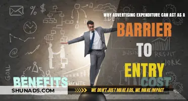 High Advertising Costs: A Major Barrier to Market Entry