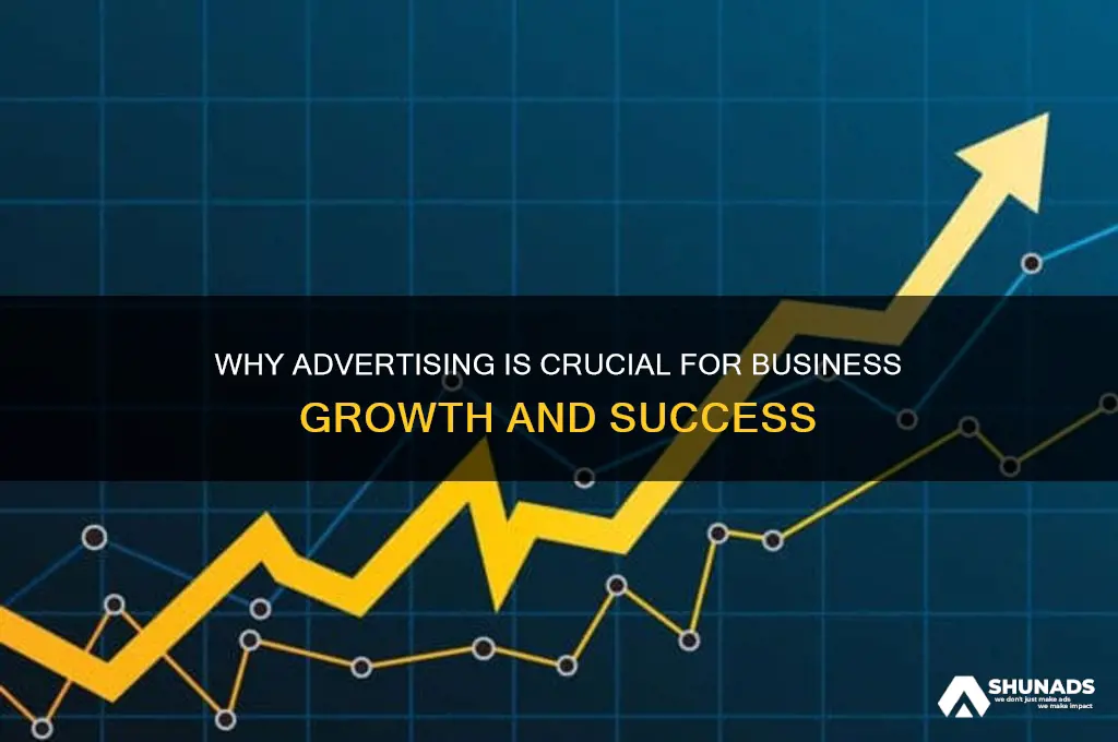 why advertising is important in business