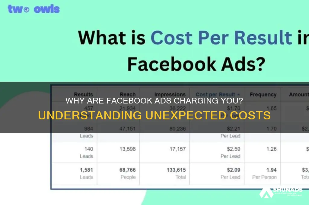 why am i being charged for facebook advertising