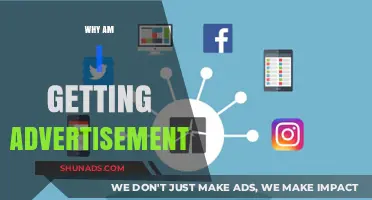 Why Am I Getting Advertisements? Understanding Online Ad Targeting