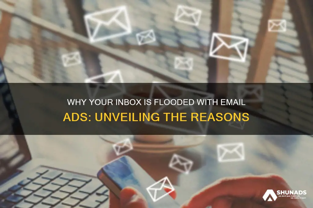 why am i getting so many email advertisements