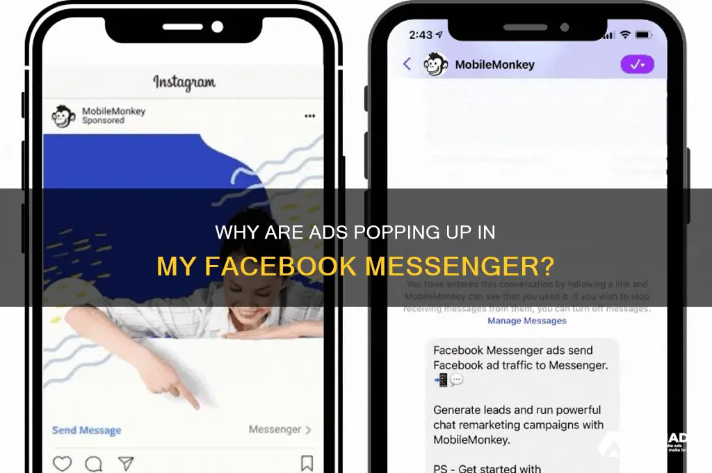 why am i seeing these advertisements on messenger in facebook