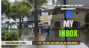 Why Your Inbox is Flooded with Ads: Causes and Solutions