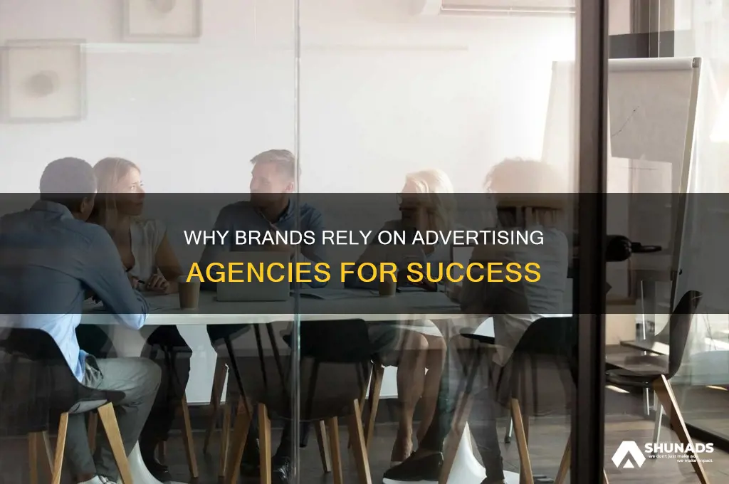 why are advertising agencies used