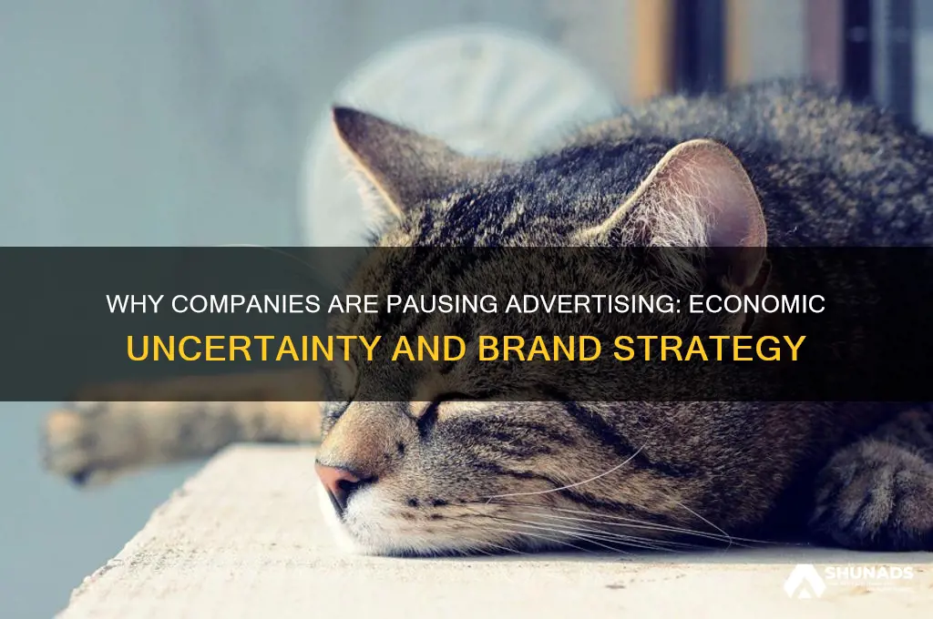 why are companies pausing advertising