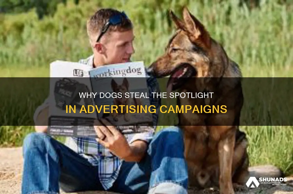 why are dogs used in advertising