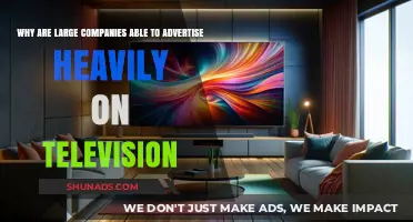 Why Big Brands Dominate TV Ads: The Power of Large Companies