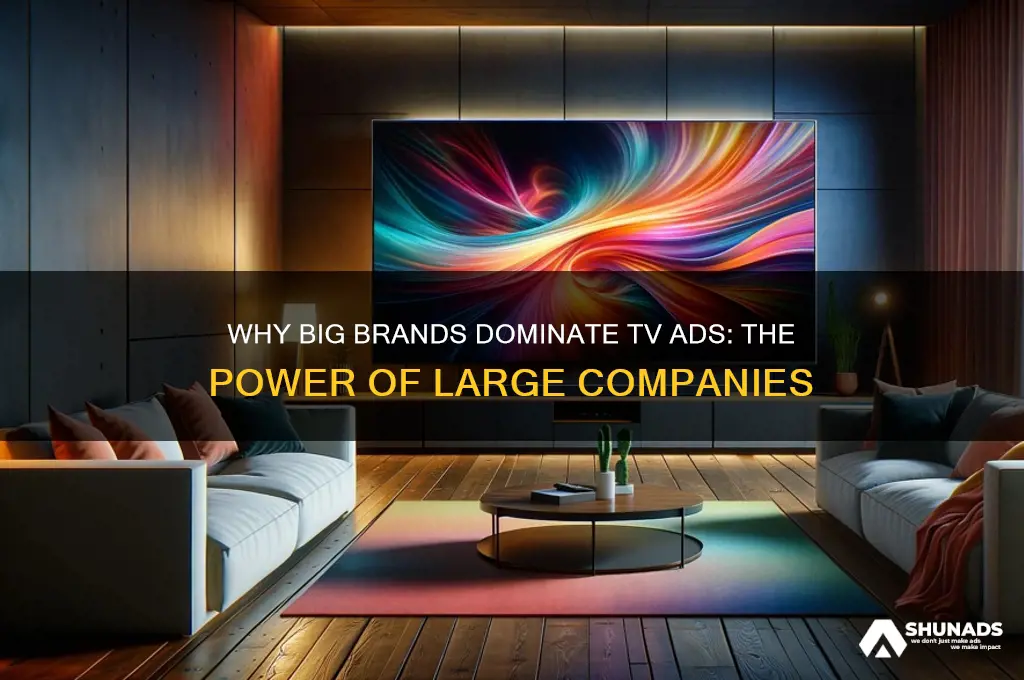 why are large companies able to advertise heavily on television