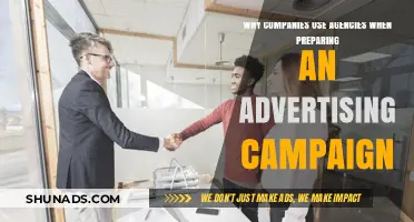 Why Companies Partner with Agencies for Advertising Campaigns