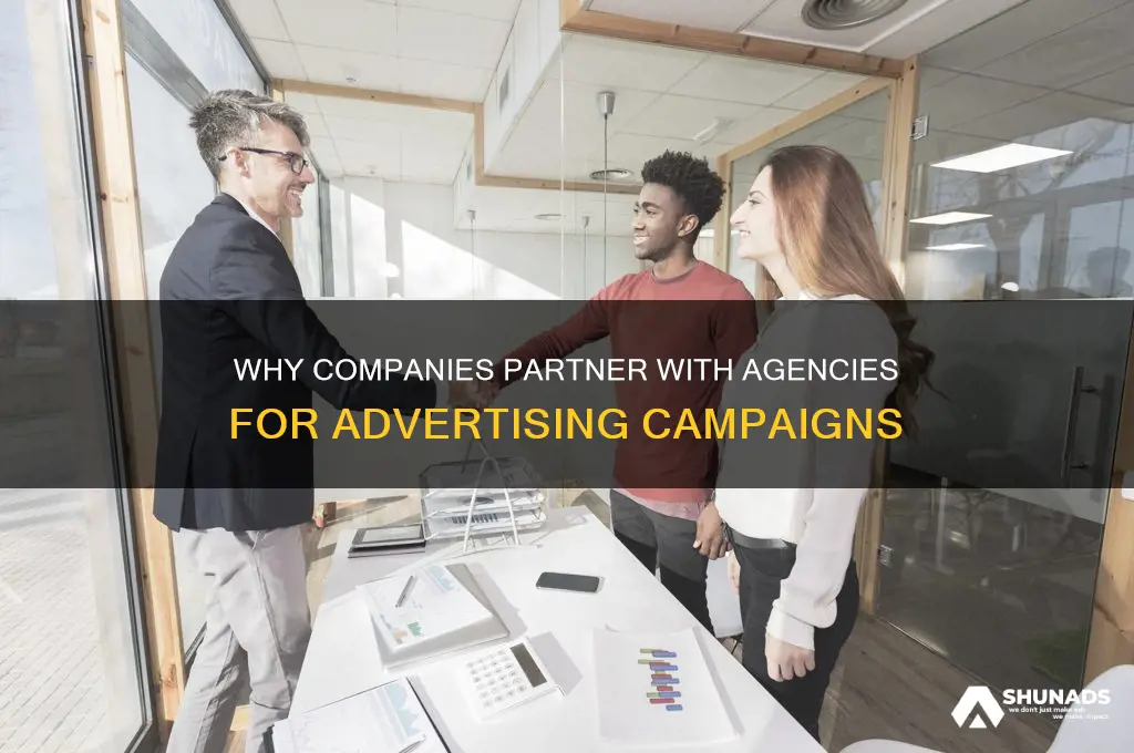 why companies use agencies when preparing an advertising campaign