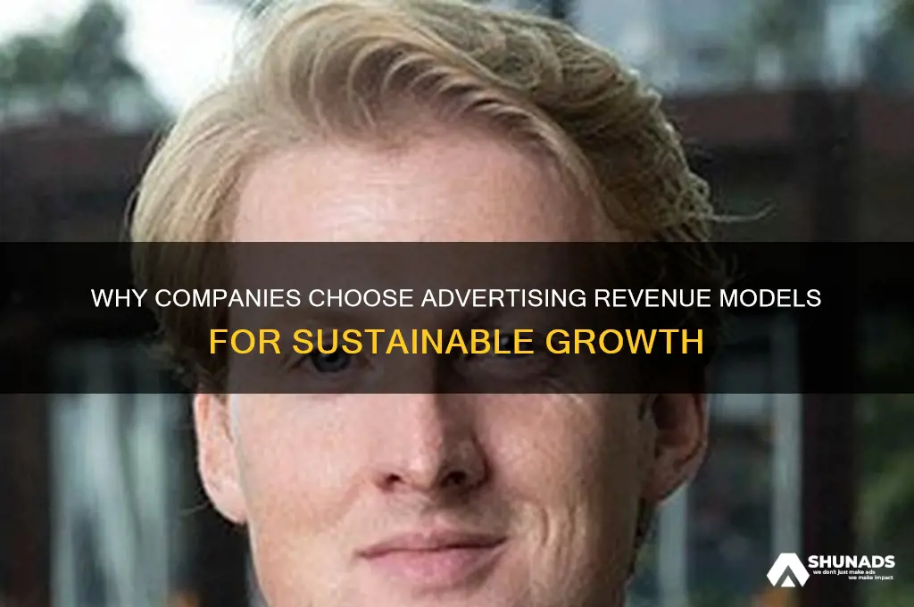 why company use advertising revenue model