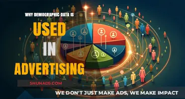 Unlocking Targeted Advertising: The Power of Demographic Data Insights