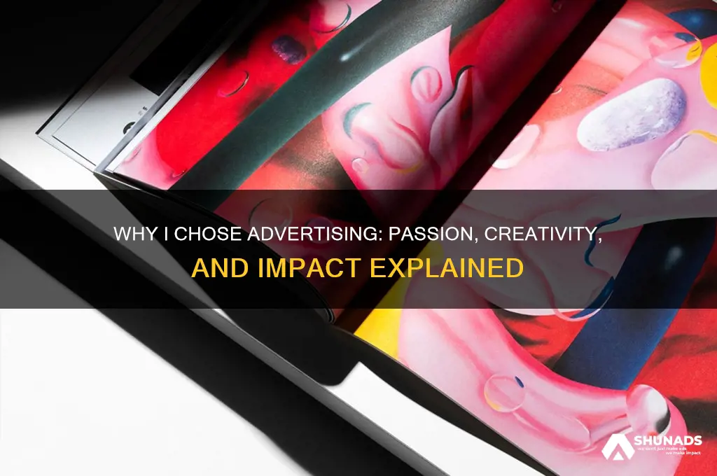 why did you get into advertising