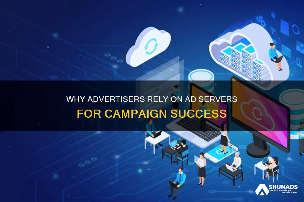 why do advertisers choose to use ad servers