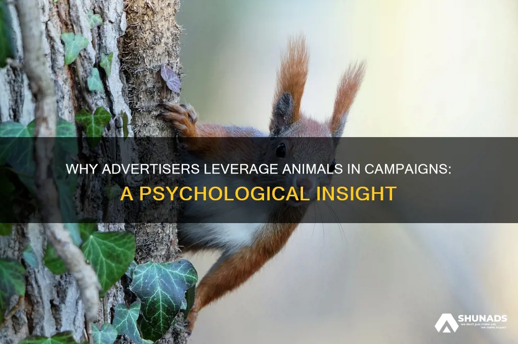 why do advertisers use animals in advertising