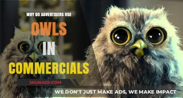 Why Advertisers Love Owls: Unraveling the Commercial Appeal of Wise Birds