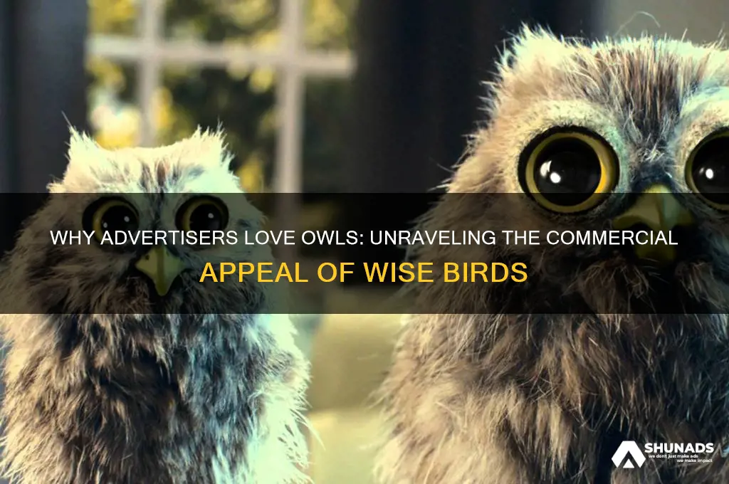 why do advertisers use owls in commercials