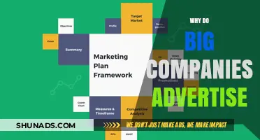 Why Big Companies Invest in Advertising: Strategies and Impact