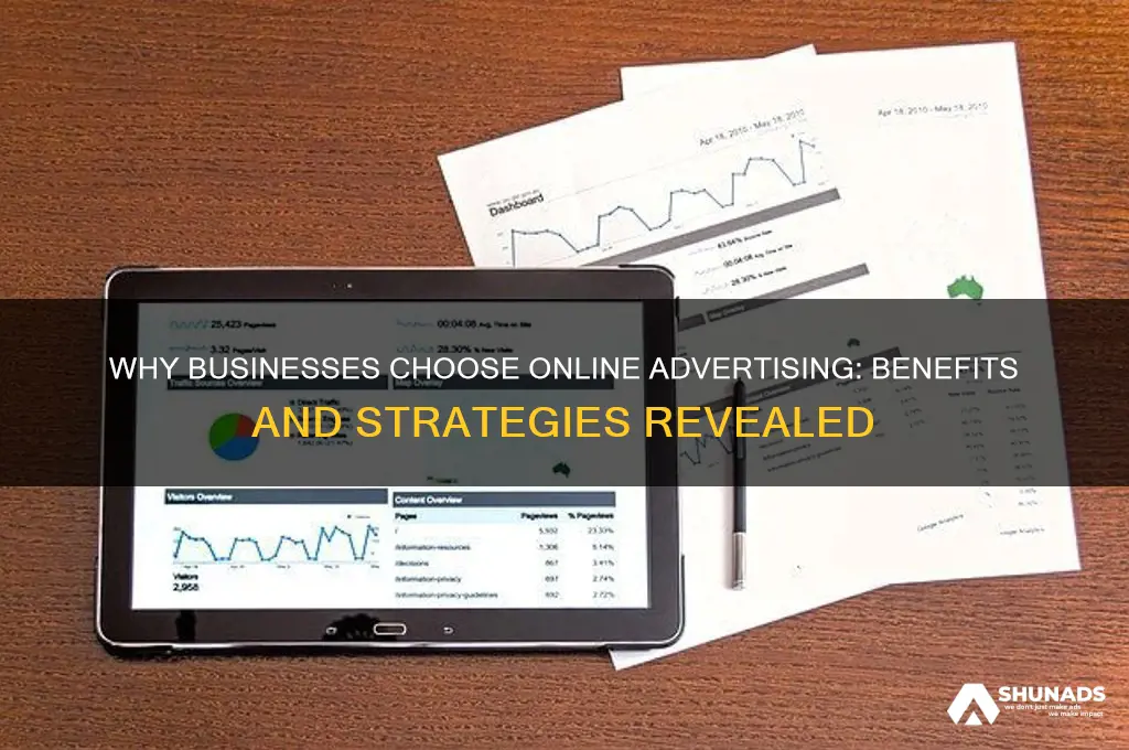 why do businesses advertise on the internet