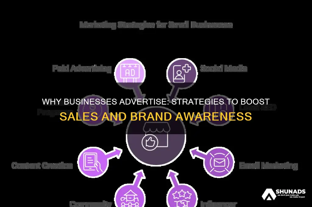 why do businesses advertise their products