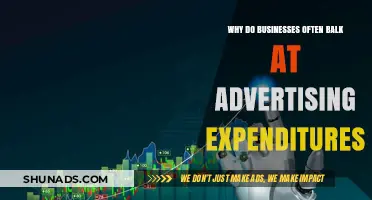 Why Businesses Hesitate to Invest in Advertising Expenditures