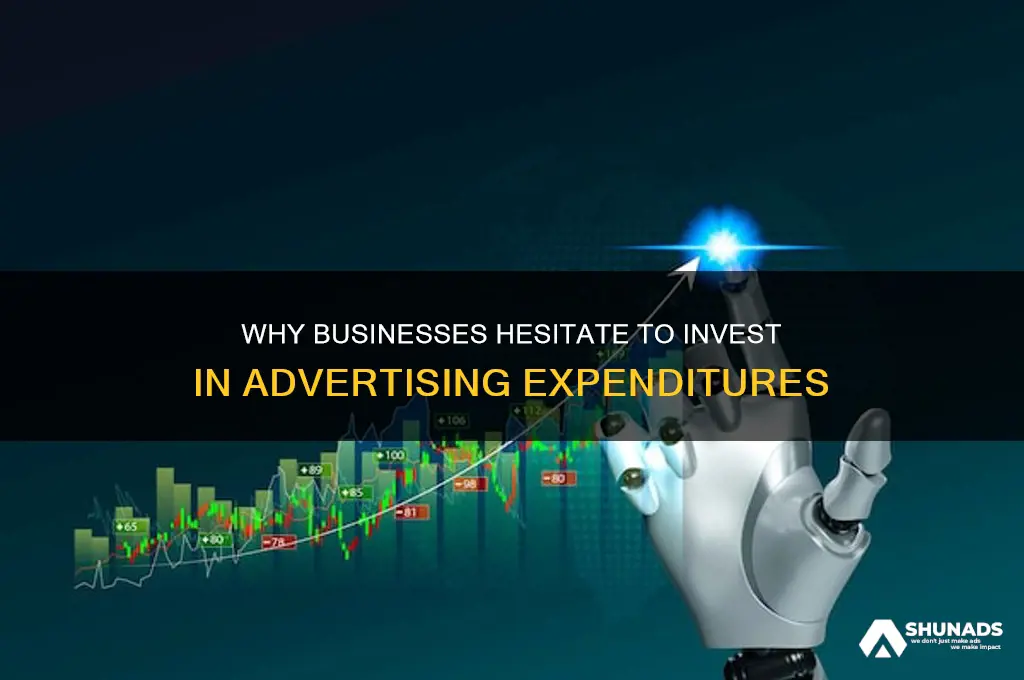 why do businesses often balk at advertising expenditures