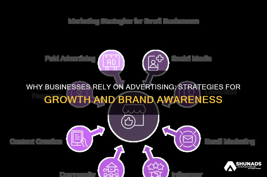 why do businesses use advertising