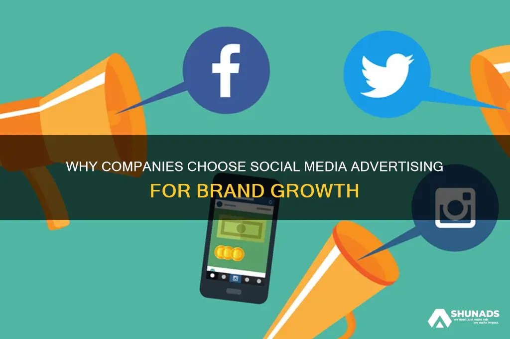 why do companies advertise on social media