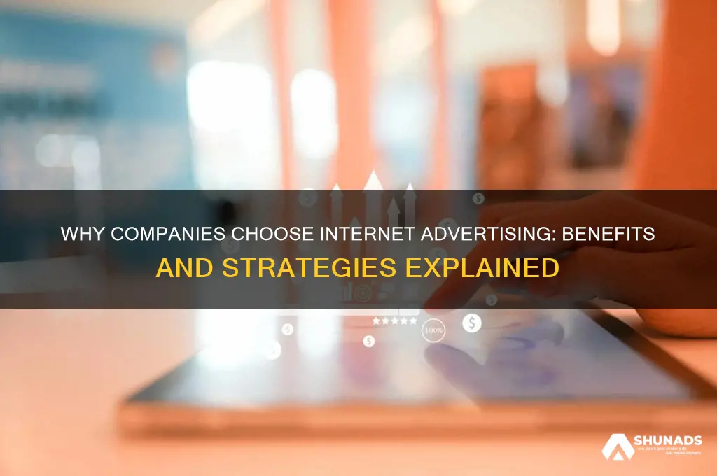why do companies advertise on the internet