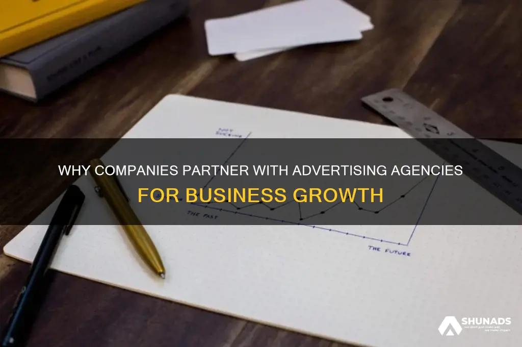 why do companies hire advertising agencies