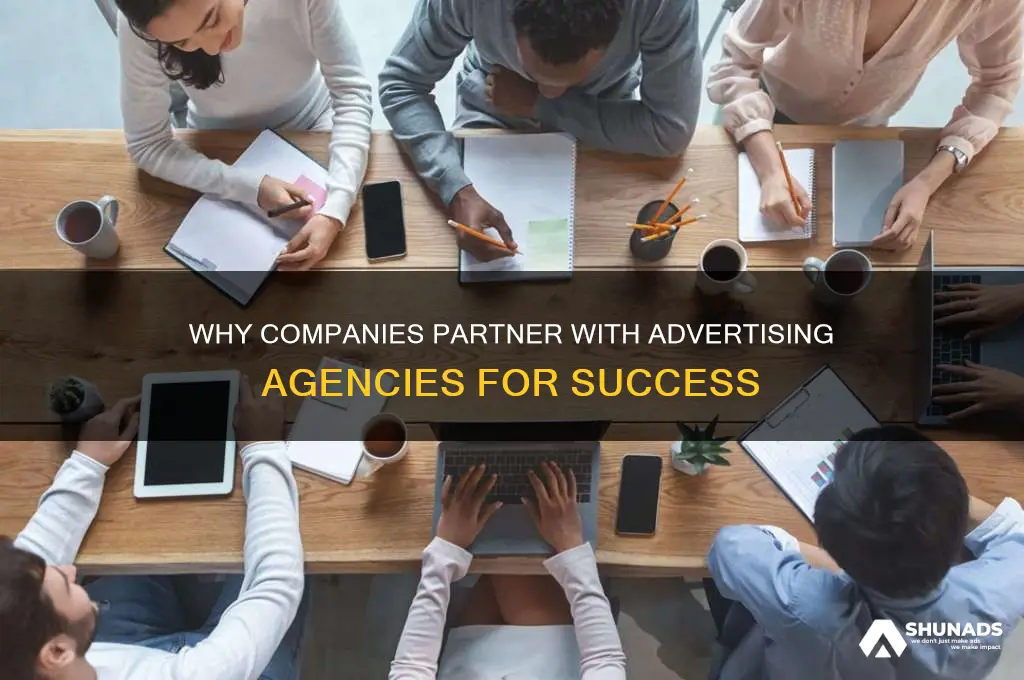 why do companies take the assistance of advertising agency