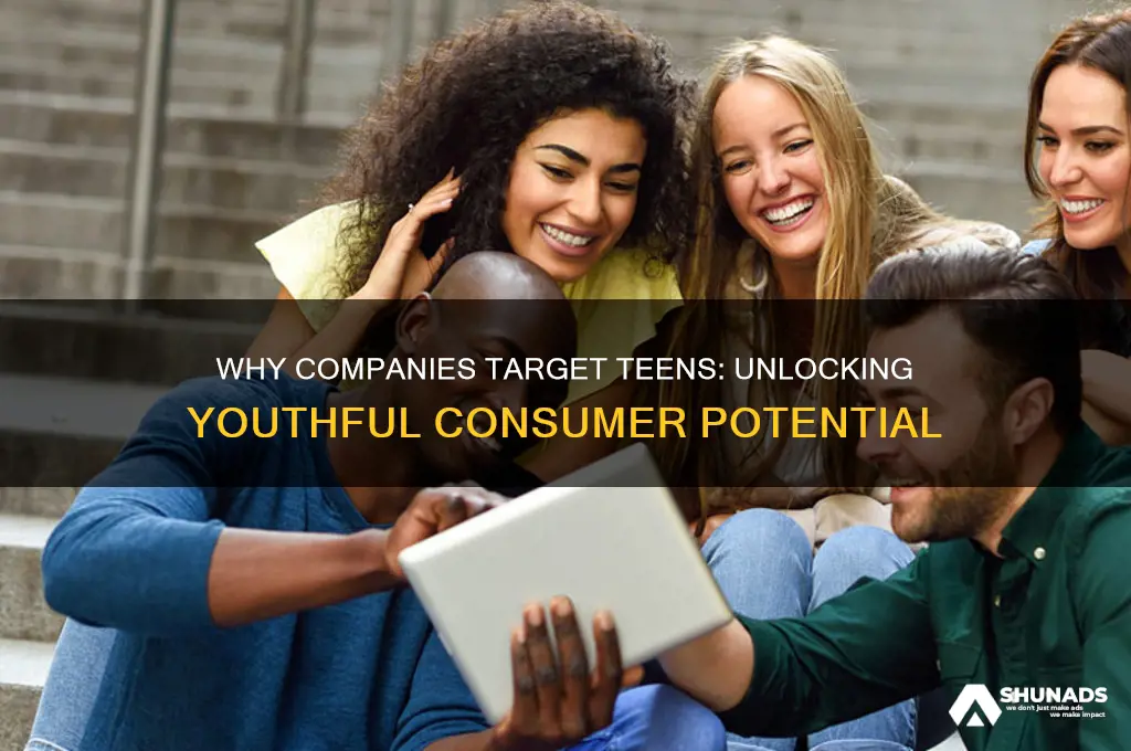 why do companies tend to aim advertisements at teens