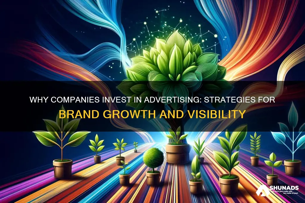 why do companies use advertising