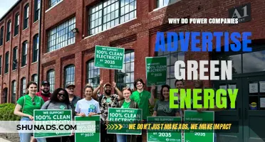 Why Power Companies Promote Green Energy: Marketing or Mission?