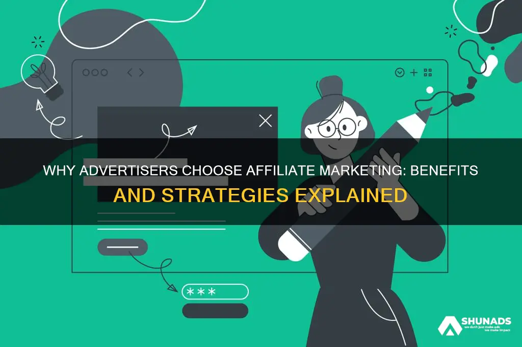 why do the advertisers use affiliate marketing
