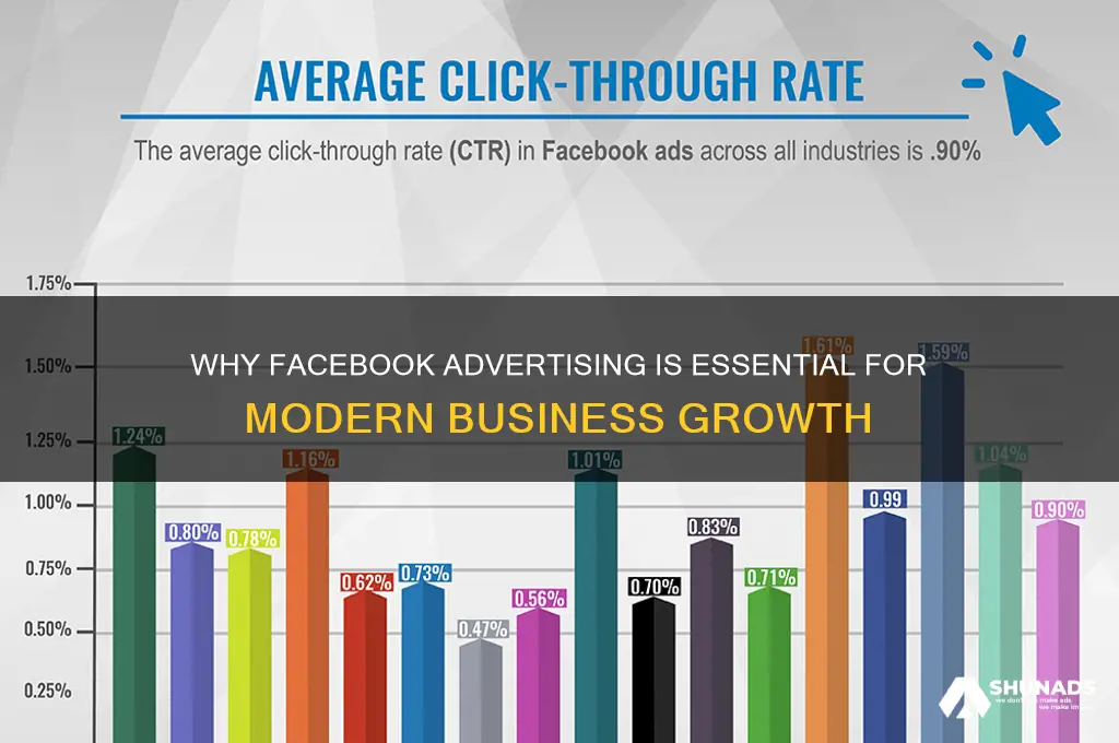 why do we need facebook advertising